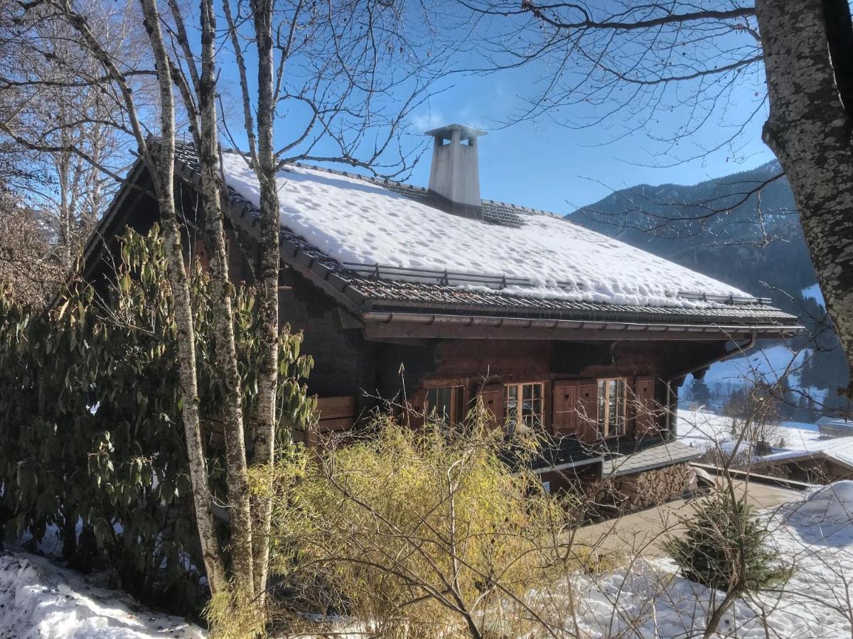 Les Jumelles Villa Gstaad Exterior foto