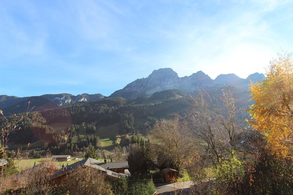 Les Jumelles Villa Gstaad Cameră foto